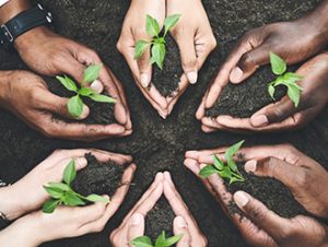 Save the date : première journée régionale de l’ETP en Guyane