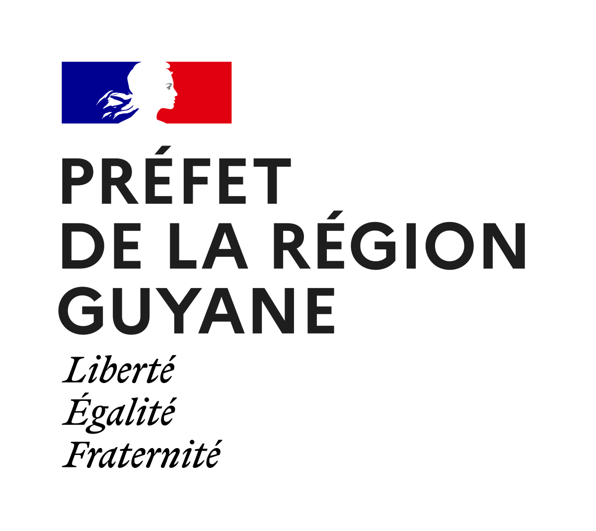logo-MFRG-carre
