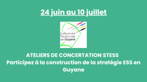 24 juin au 10 juillet – Ateliers de concertation STESS 2025 – Participez à la construction de la stratégie ESS en Guyane