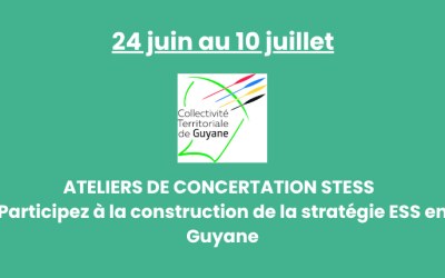 24 juin au 10 juillet – Ateliers de concertation STESS 2025 – Participez à la construction de la stratégie ESS en Guyane