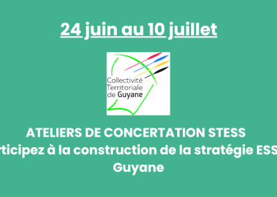 24 juin au 10 juillet – Ateliers de concertation STESS 2025 – Participez à la construction de la stratégie ESS en Guyane