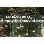 Découvrir la CNV en Guyane : une 6e édition à ne pas manquer en octobre 2025
