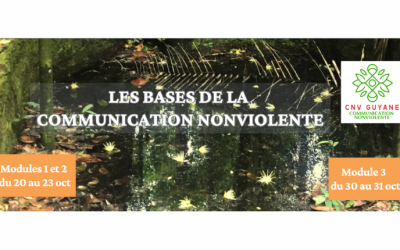 Découvrir la CNV en Guyane : une 6e édition à ne pas manquer en octobre 2025
