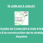 19 juin au 3 juillet – Ateliers de concertation STESS 2025 – Participez à la construction de la stratégie ESS en Guyane