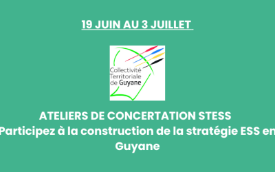 19 juin au 3 juillet – Ateliers de concertation STESS 2025 – Participez à la construction de la stratégie ESS en Guyane