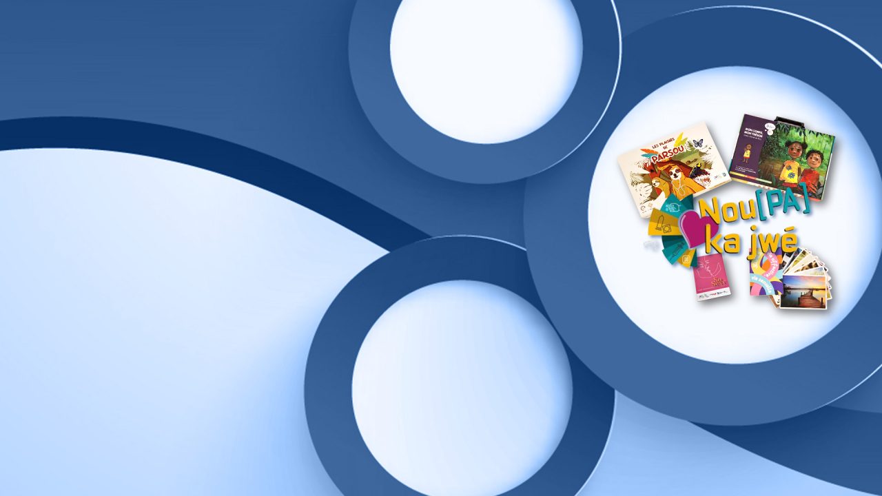 la Boîte à Outils EVAS : une réponse concrète aux besoins des intervenant.es en Guyane