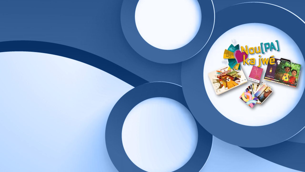 la Boîte à Outils EVAS : une réponse concrète aux besoins des intervenant.es en Guyane