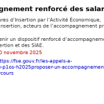 Appel à projets FSE – Accompagnement des salariés en insertion & SIAE