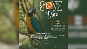 Les Assises Amazoniennes – du 12 au 14 novembre 2025 – 14ème édition