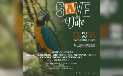 Les Assises Amazoniennes – du 12 au 14 novembre 2025 – 14ème édition