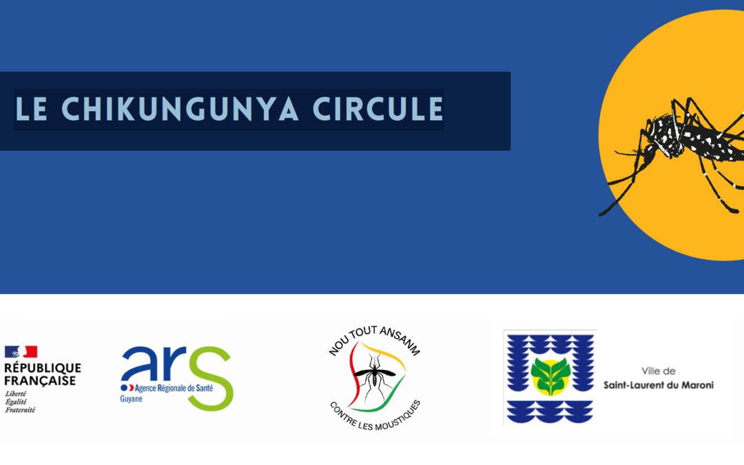 Alerte sanitaire : début d&rsquo;épidémie de chikungunya sur le territoire