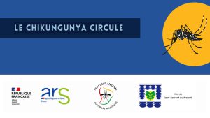Alerte sanitaire : début d&rsquo;épidémie de chikungunya sur le territoire