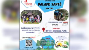 Rencontre Santé : Une « Balade Santé » à la découverte du patrimoine d’Apatou