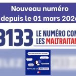 Nouvelle plateforme téléphonique nationale 3133