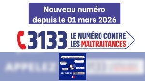 Nouvelle plateforme téléphonique nationale 3133