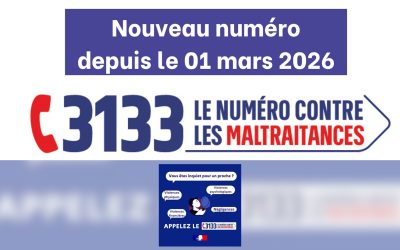Nouvelle plateforme téléphonique nationale 3133