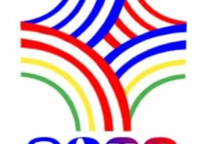Réseau des Acteurs Haïtiens de Guyane (RAHG)