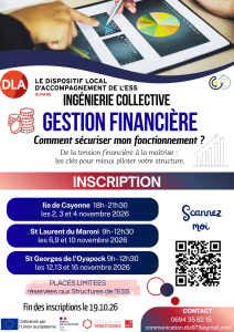 Gestion financière des structures de l’ESS : le DLA Guyane organise trois sessions d’accompagnement en novembre 2026